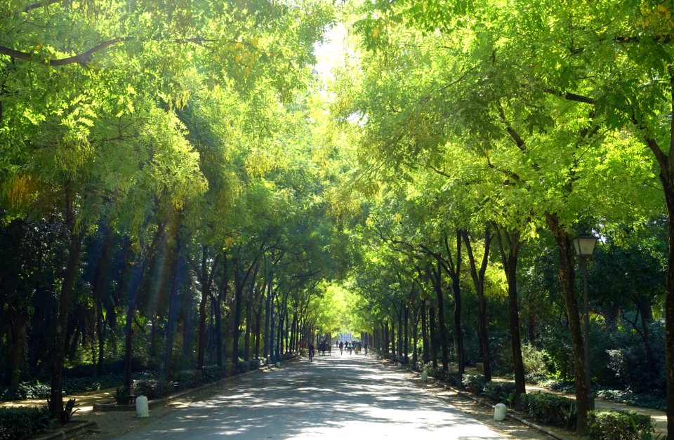 Parque de María Luisa - Seville, Spain - DSC07275
