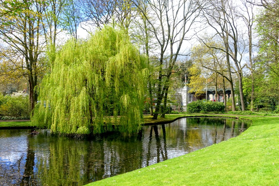 Parc Jean Sobieski - Brussels, Belgium - DSC07604