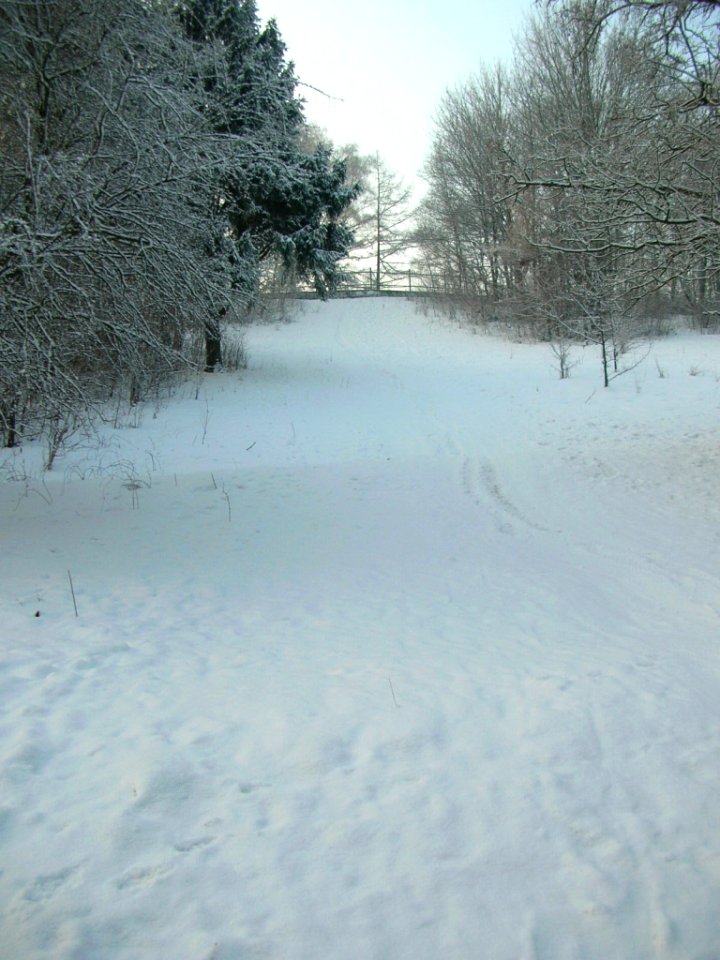 Park Wzgórze Wolności zima 2010