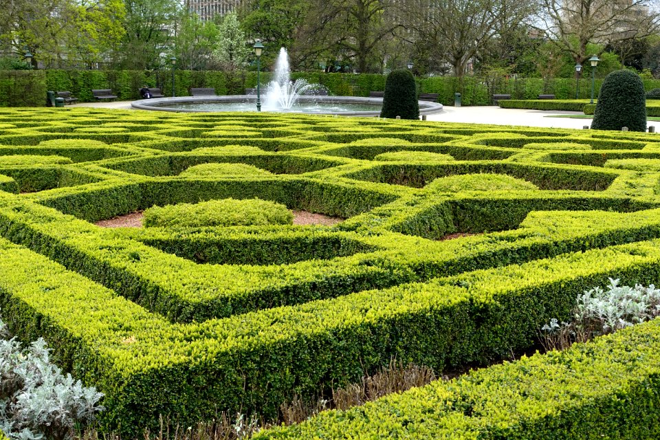 Parterre - Botanical Garden of Brussels - Brussels, Belgium - DSC06777