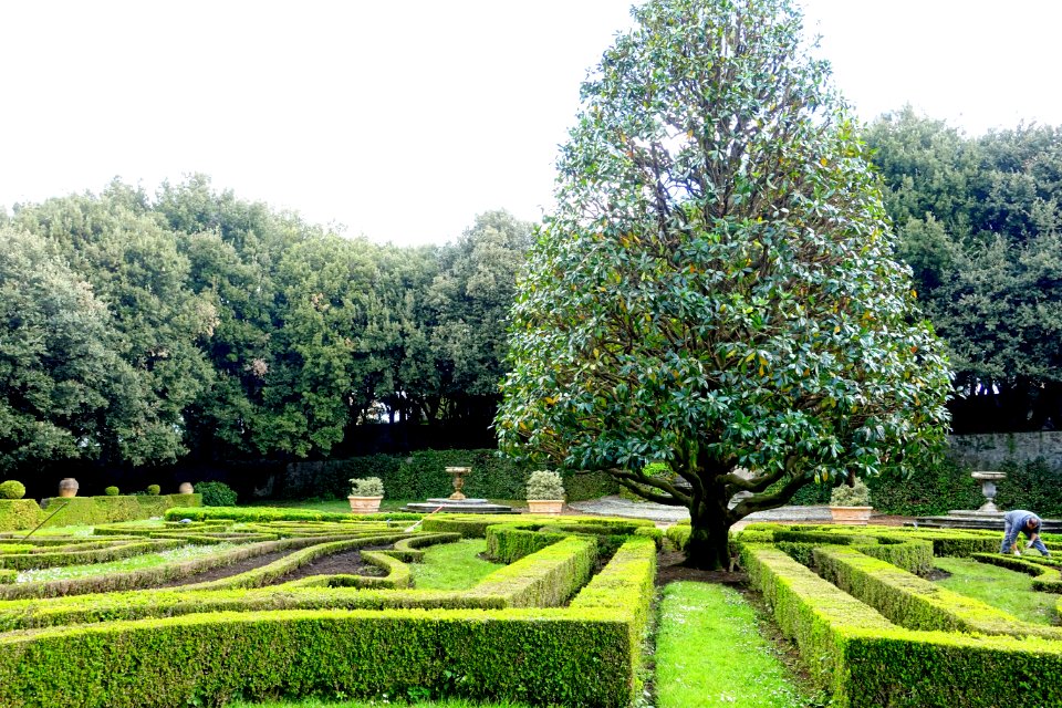 Parterre - Barberini Gardens - Castel Gandolfo - DSC04446