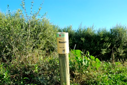 Partida de Mascalbó