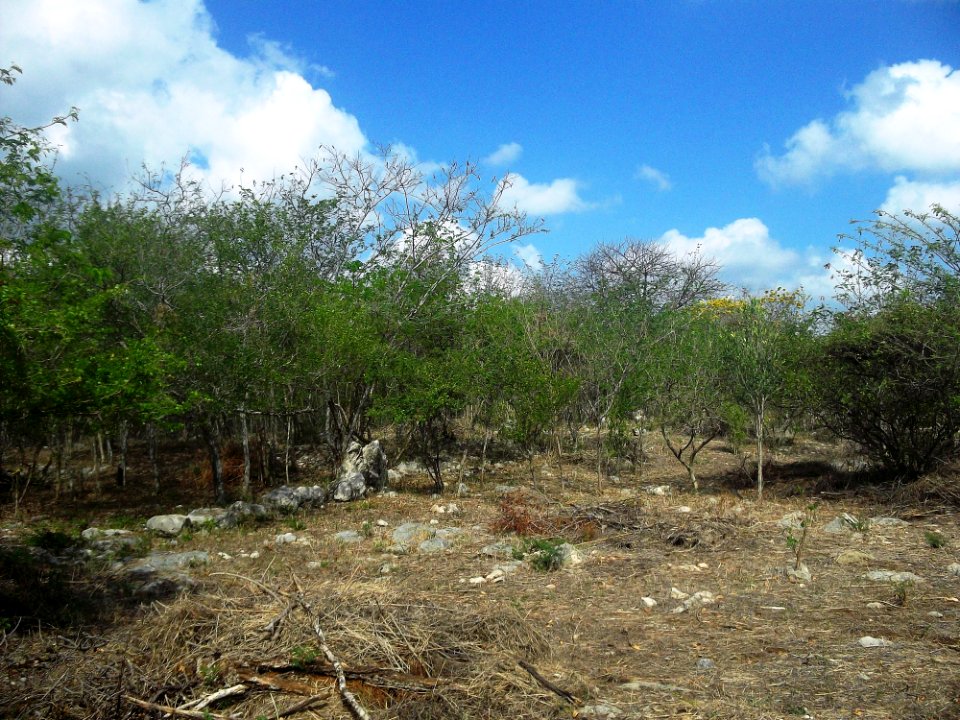 Parque Arqueológico Anikabil, Mérida, Yucatán (05)