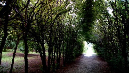 Parco del Cormor