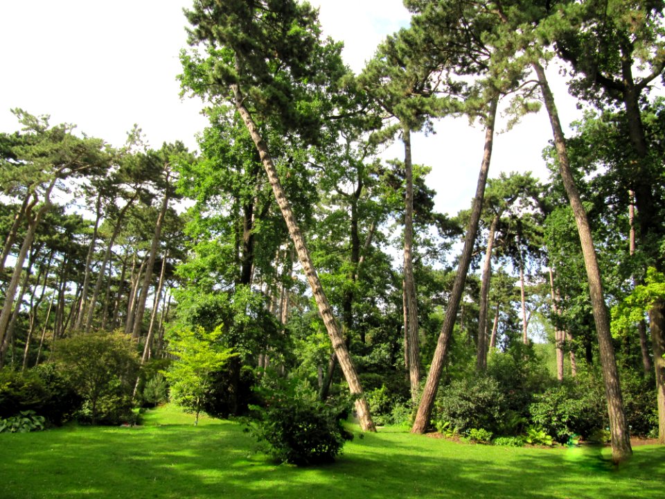 Parc floral Vincennes