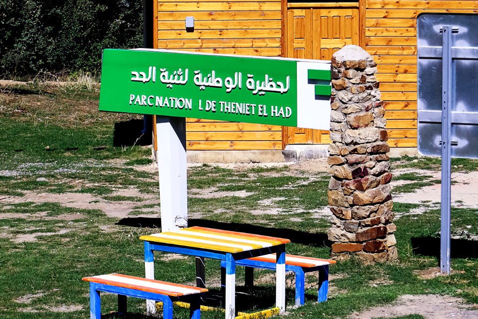 Parc National de Theniet El Had الحظيرة الوطنية لثنية الحد