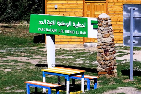 Parc National de Theniet El Had الحظيرة الوطنية لثنية الحد