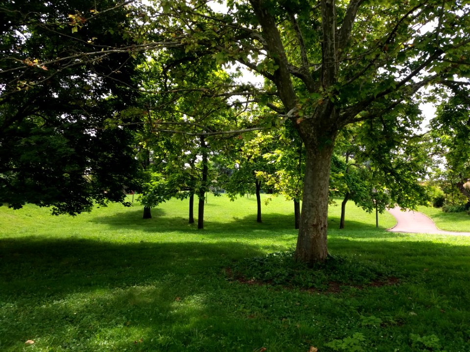 Parc des Hauteurs - Côté cimetière de Loyasse