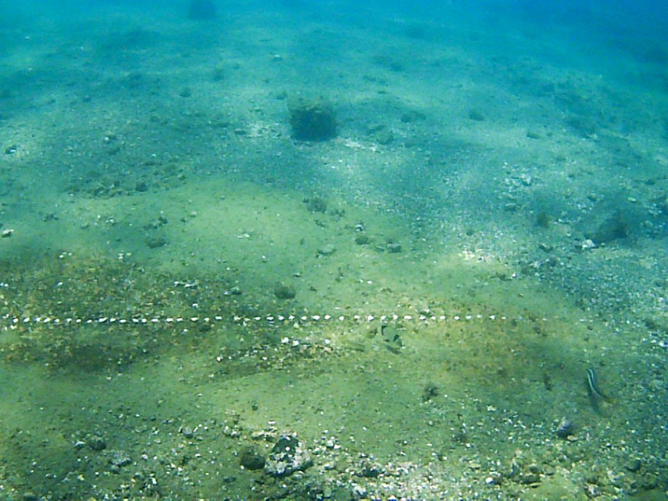 Parco archeologico di Baia - portus Julius - mosaico 3