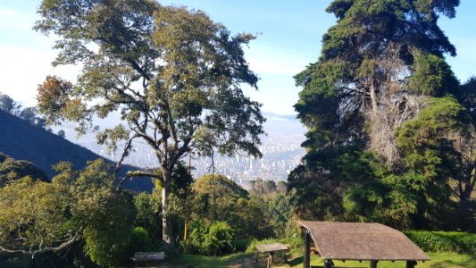 Parque Nacional El Avila (Warairarepano) National Park, Caracas y Vargas Venezuela 1 photo