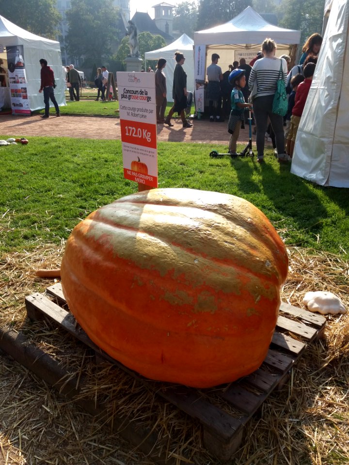 Parc de la Tête d'Or - Festival des courges 2018 - Courge de M. Robert