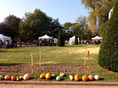 Parc de la Tête d'Or - Festival des courges 2018 - Vue 1