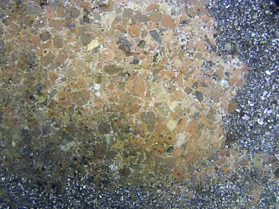 Parco archeologico di Baia - Ninfeo punta Epitaffio - mosaico 2