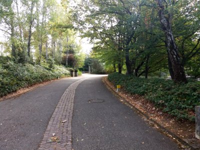Parc cimetière du Grand Lyon - Allée 2