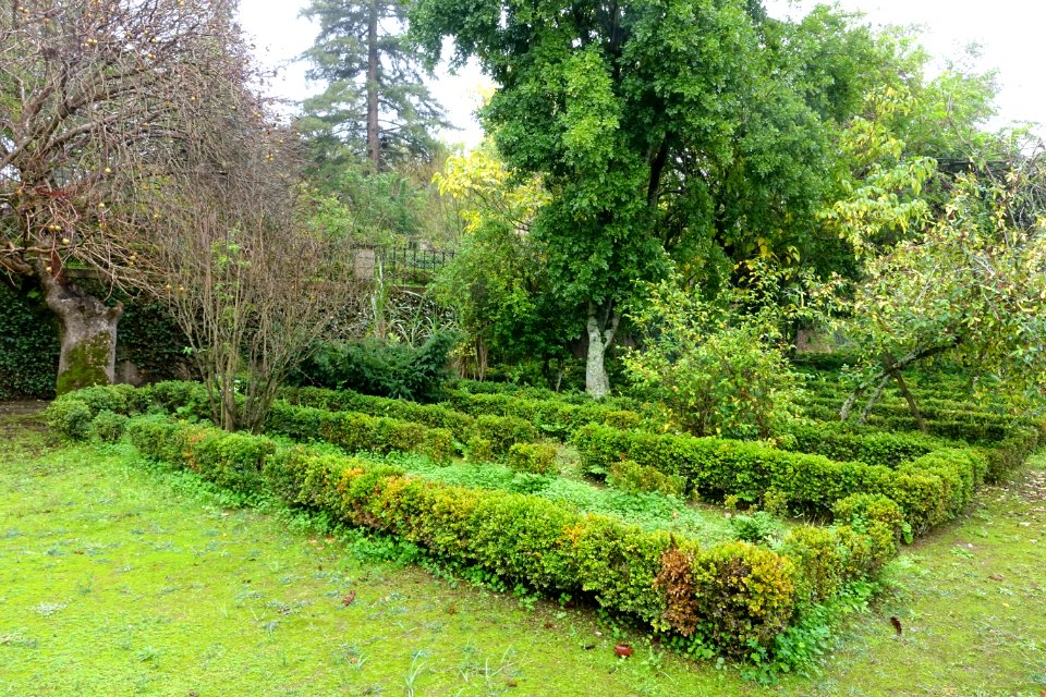 Parterre beds - Jardim Botânico da Universidade de Coimbra - Coimbra, Portugal - DSC08799