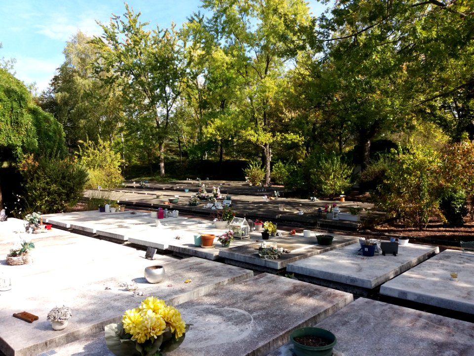 Parc cimetière du Grand Lyon - Tombes sans concession 2