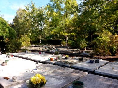 Parc cimetière du Grand Lyon - Tombes sans concession 2