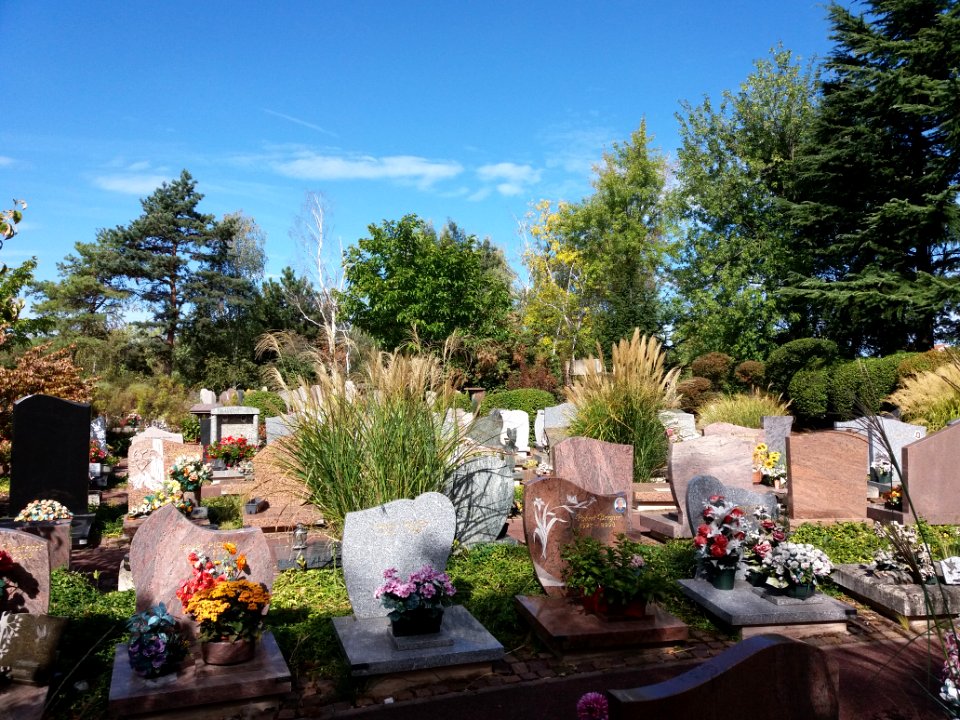 Parc cimetière du Grand Lyon - Tombes 4
