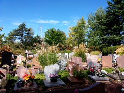 Parc cimetière du Grand Lyon - Tombes 4