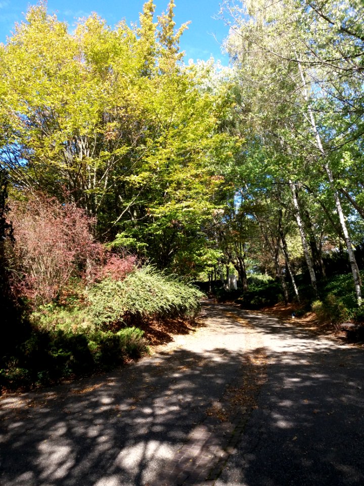 Parc cimetière du Grand Lyon - Allée 3