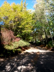 Parc cimetière du Grand Lyon - Allée 3