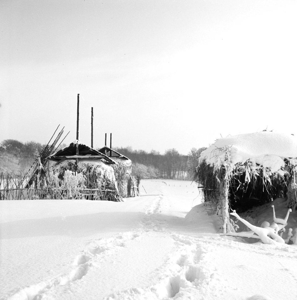 Park Zijpendaal in de winter Hooimijten onder een dikke sneeuwlaag, Bestanddeelnr 162-1287