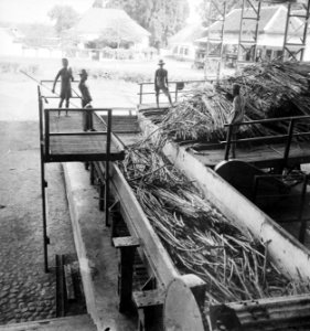 Pasoeroean De suikerfabriek Kedawoeng is met de campagne begonnen. Voor de eers, Bestanddeelnr 13450