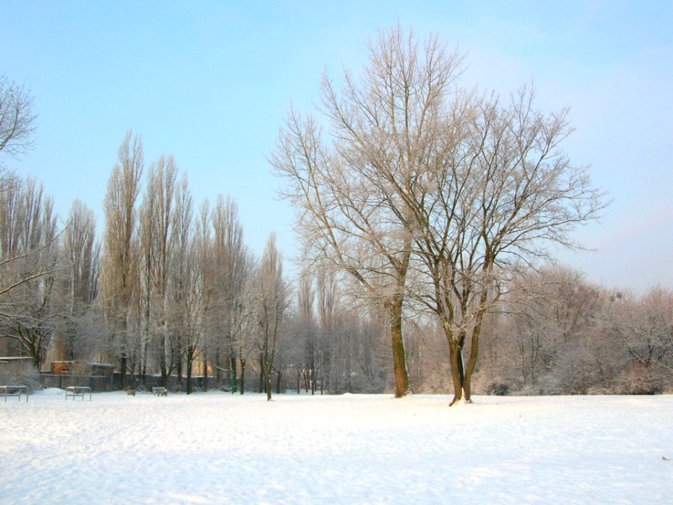 Park Wzgórze Wolności zima 2006