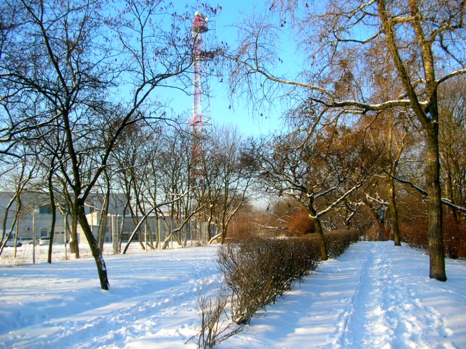 Park Wzgórze Wolności zima 2006r