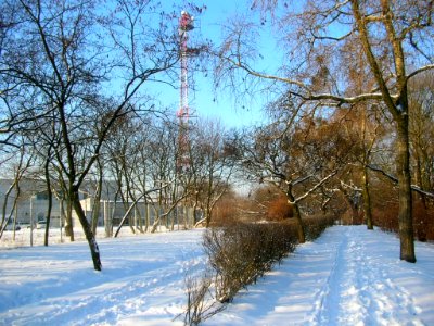 Park Wzgórze Wolności zima 2006r