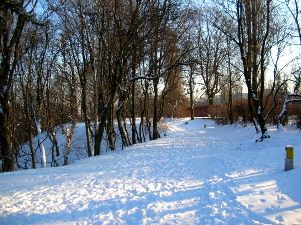 Park Wzgórze Wolności zima 2006o