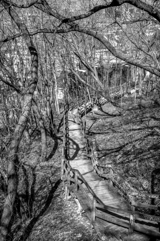 Parc de la Côte Sauvageau, Quebec city, Canada