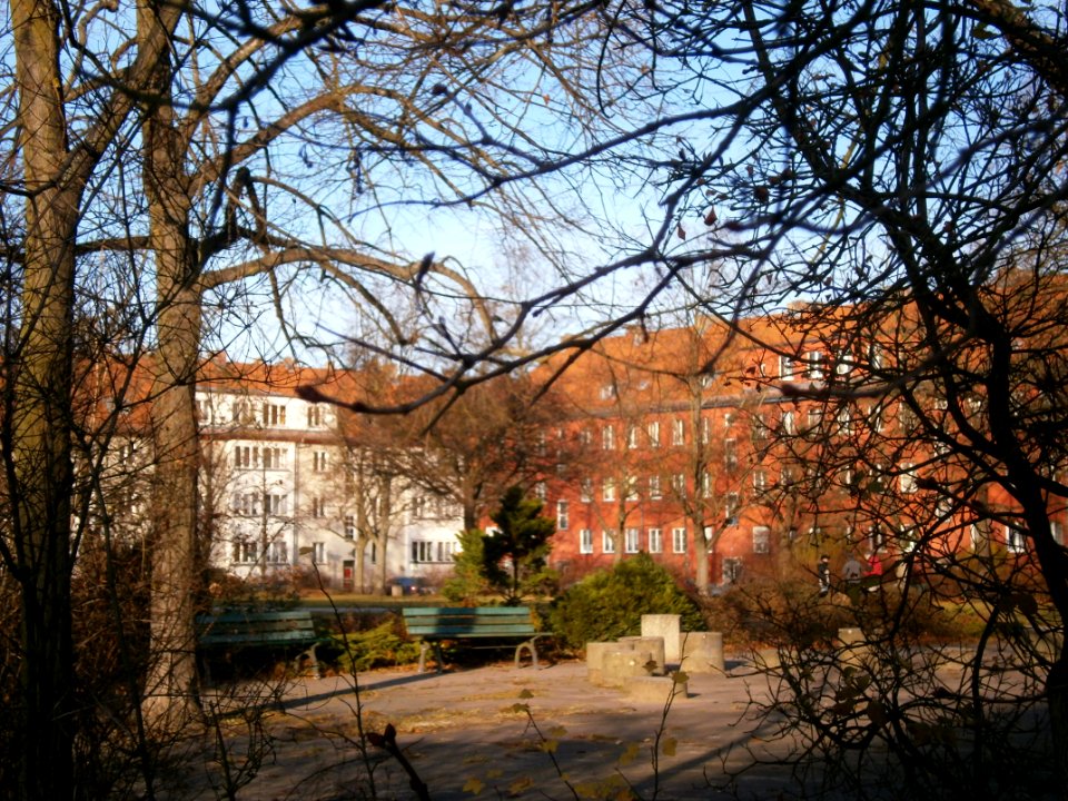 Paracelsus-platz13
