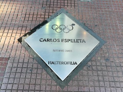 Paseo de los Olímpicos Rosario 2019 70