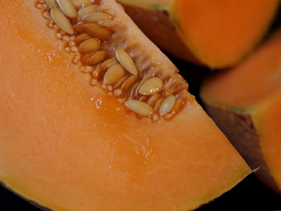 Cantaloupe orange fruit brown fruits