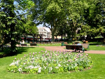 Parc floral des Thermes (Aix les-Bains) - DSC05141