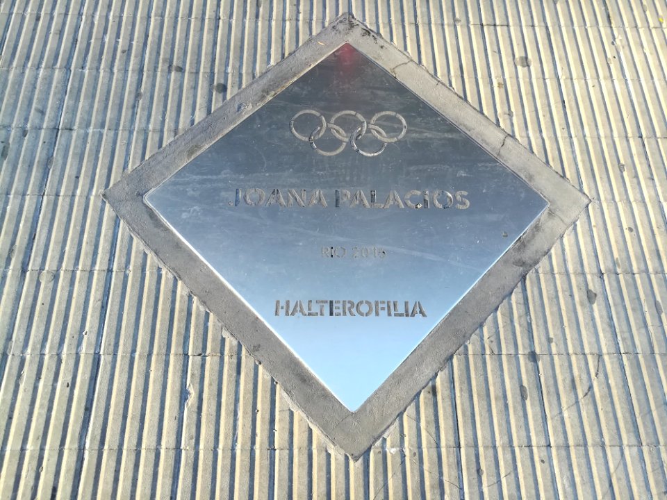 Paseo de los Olímpicos Rosario 2019 86
