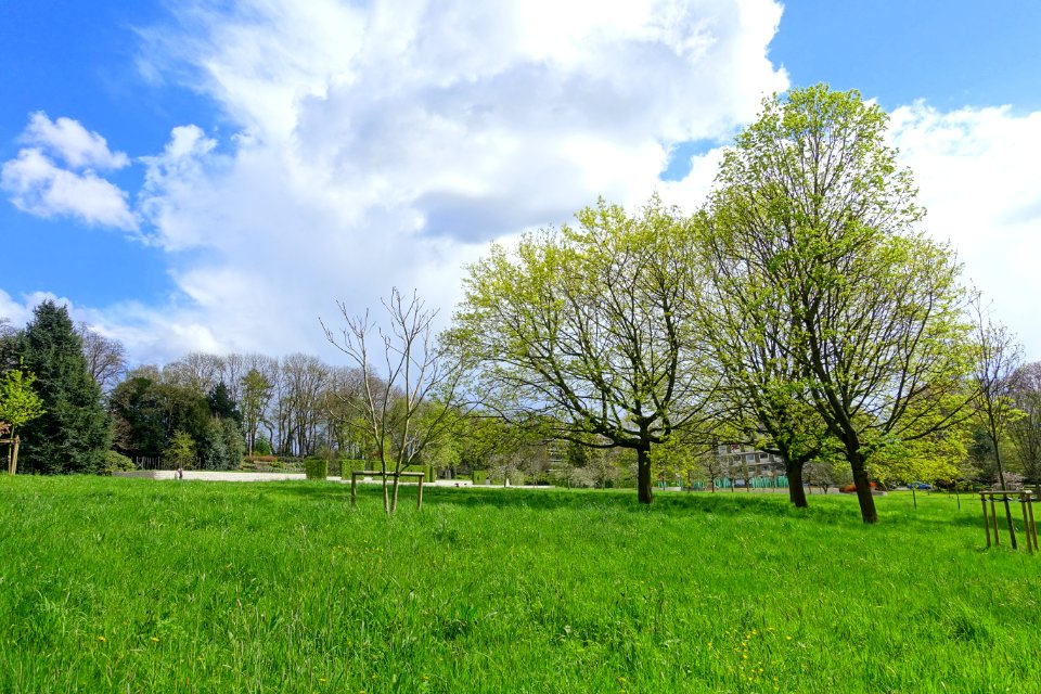 Parc Jean Sobieski - Brussels, Belgium - DSC07606