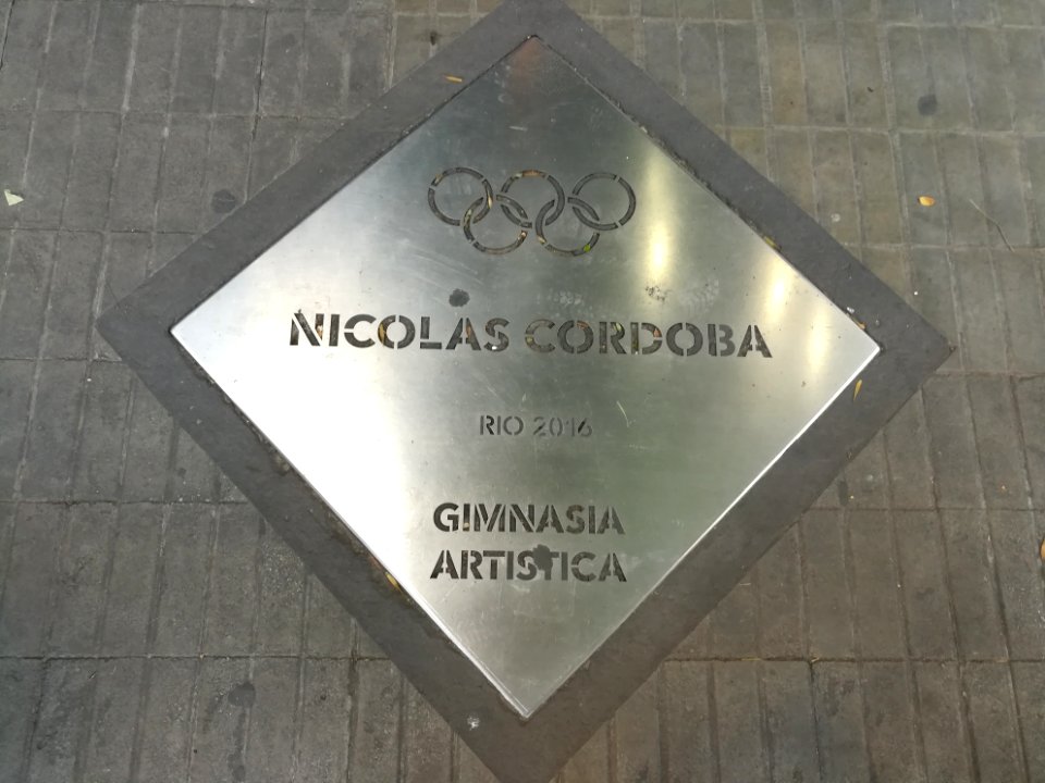 Paseo de los Olímpicos Rosario 2019 92