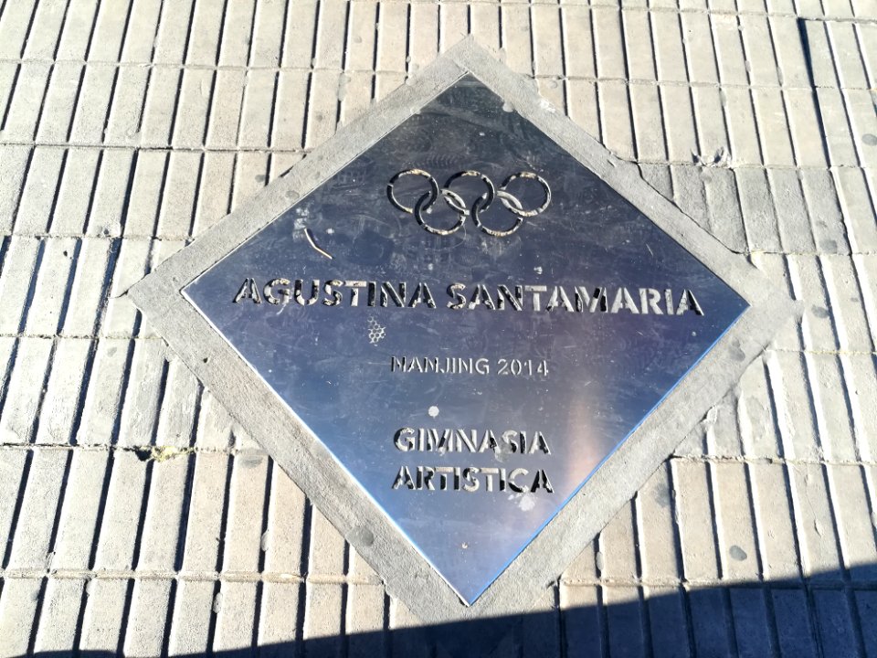 Paseo de los Olímpicos Rosario 2019 82
