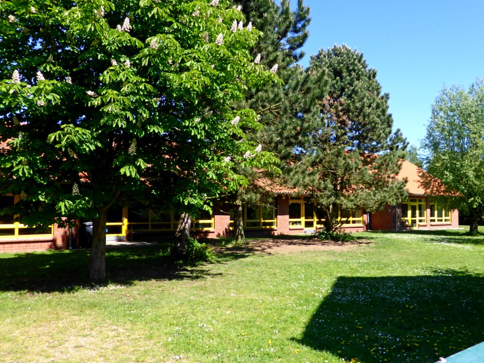 Parsau Schule