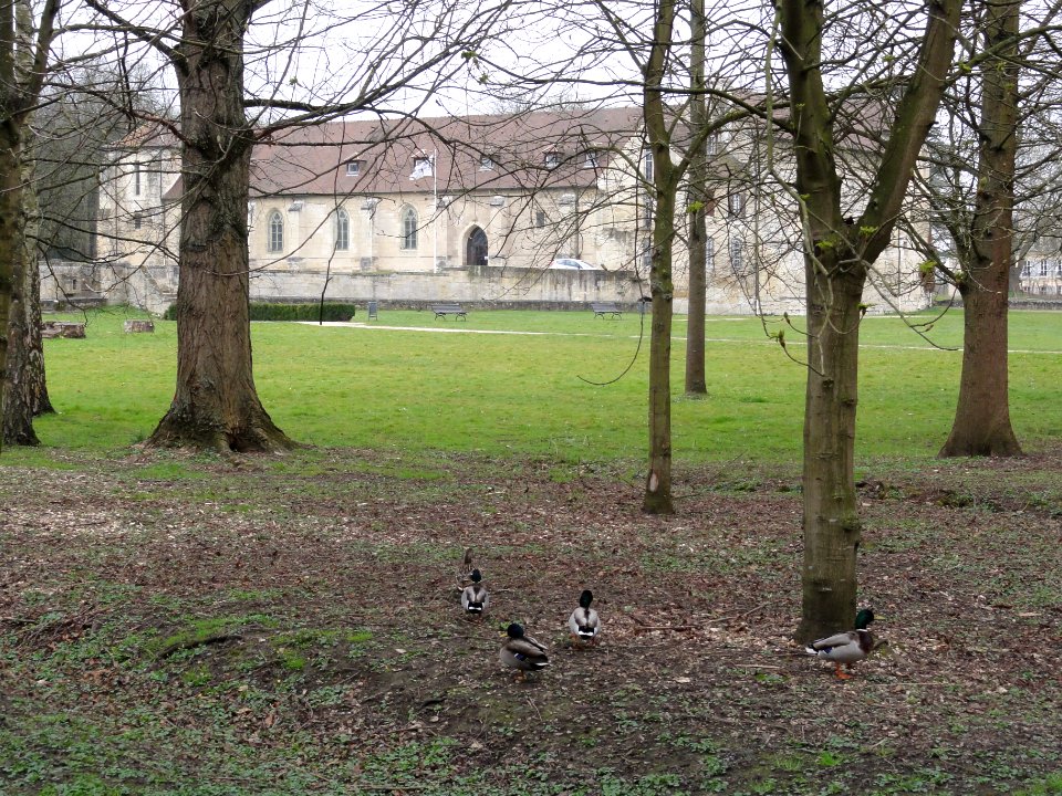 Parc de l'abbaye de Maubuisson 05