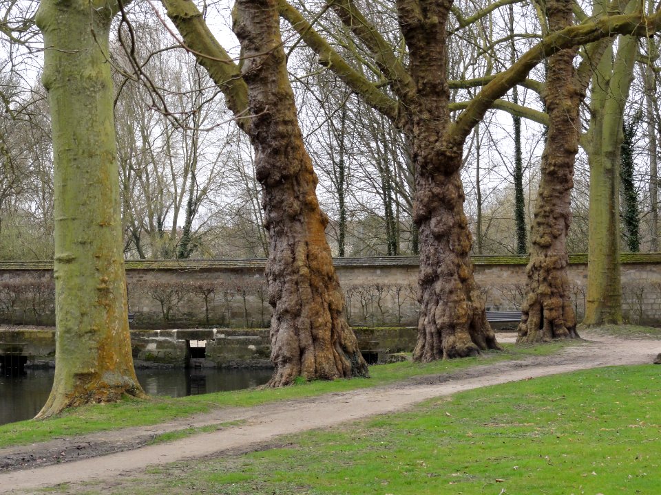 Parc de l'abbaye de Maubuisson 03