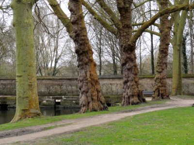 Parc de l'abbaye de Maubuisson 03
