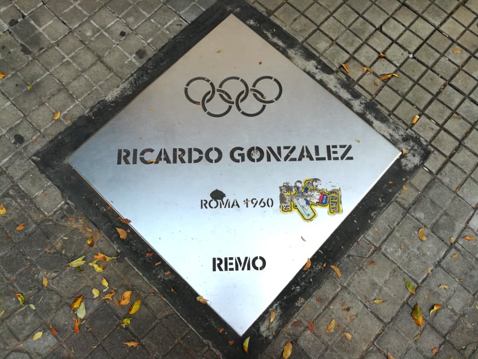 Paseo de los Olímpicos Rosario 2019 166