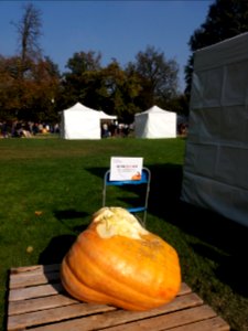 Parc de la Tête d'Or - Festival des courges 2018 - Courge sculptée