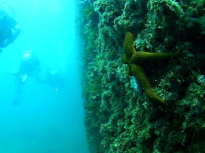 Parco archeologico di Baia - pilone e stella marina