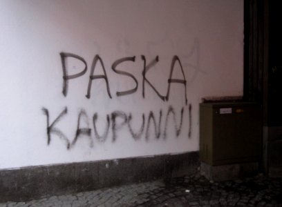 Paska Kaupunni Oulu 20141123