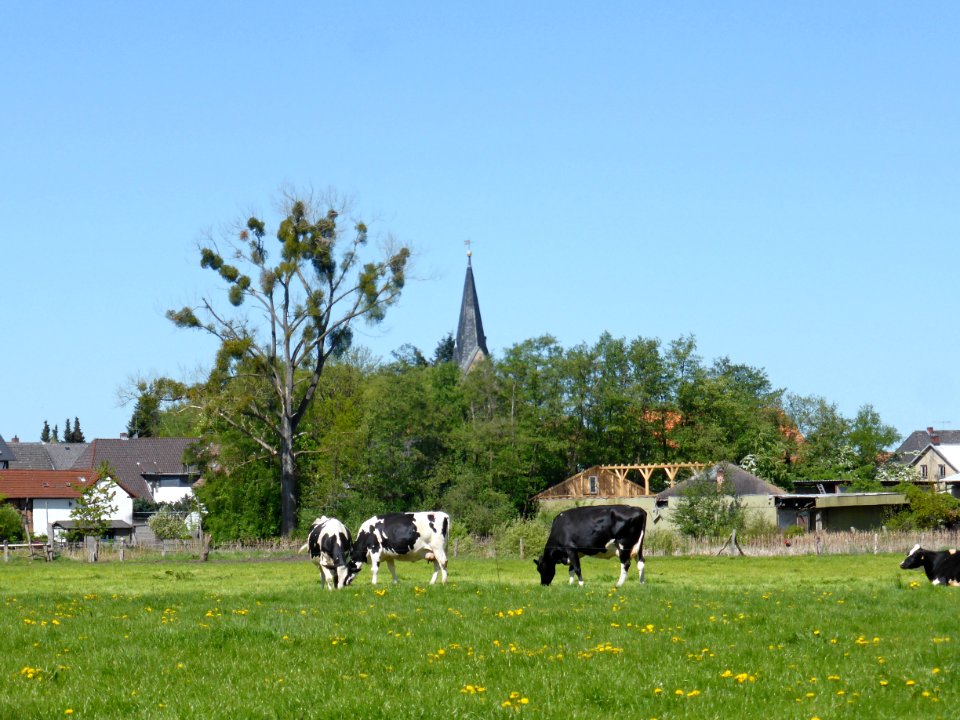 Parsau Idyll