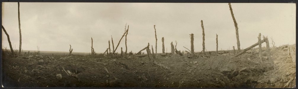 Panorama. View in Guillemont., Bestanddeelnr 158-1801